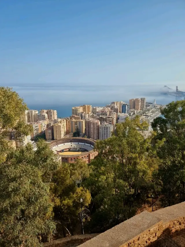 Discovering Málaga: A Perfect Blend of Sun, Culture & Tapas