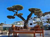 Lovely Mykonos 😎