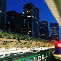 Tokyo Like a Local: Everyday Life in the Big City