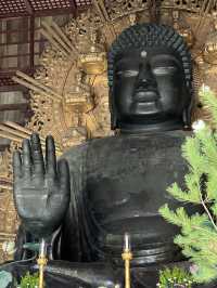 Step Into Ancient Majesty: A Nara Day at Todai-ji