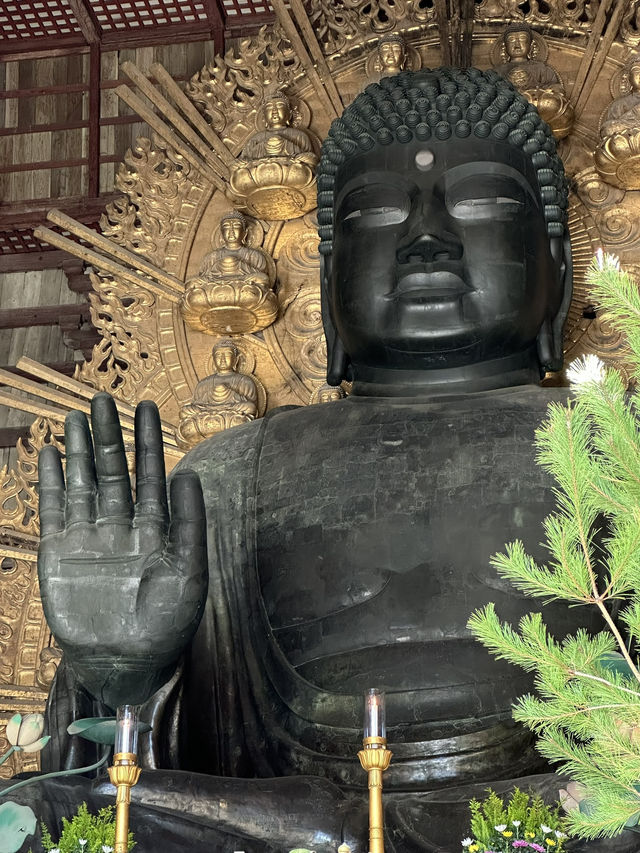 Step Into Ancient Majesty: A Nara Day at Todai-ji