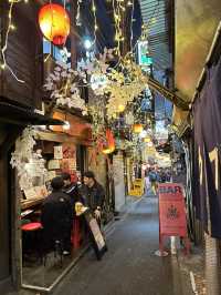 Tokyo’s Shinjuku: Neon Memories, Monster Sights & Artistic Vibes