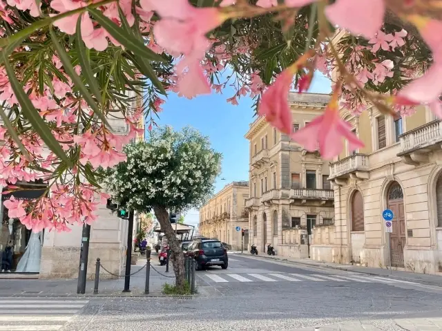 🌊 Siracusa's Enchanting Gems! 🏛️