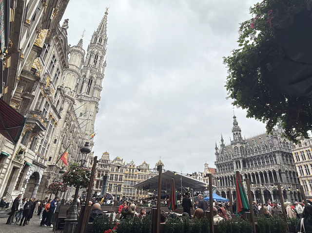 E xploring the Heart of Belgium: Antwerp & Brussels Adventure 🇧🇪✨