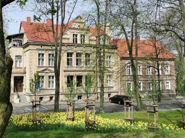 Zielona Góra, Poland: Poland's Northernmost Wine Capital with Over 700 Years of Viticulture Zielona Góra, Poland: Poland's Northernmost Wine Capital with Over 700 Years of Viticulture