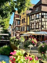 Colmar, France — A Fairytale in Alsace 🏘🪻