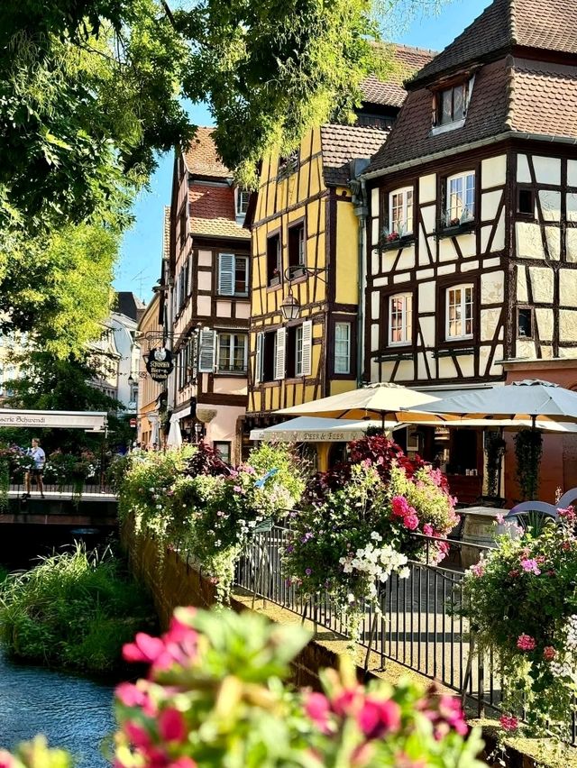 Colmar, France — A Fairytale in Alsace 🏘🪻