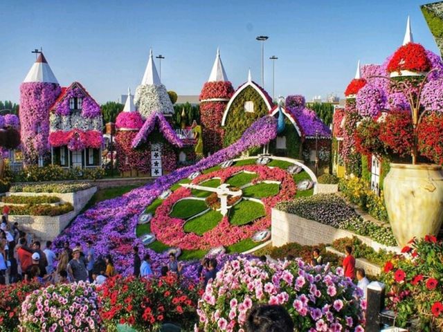 Explore the magic of nature at the Dubai miracle garden!