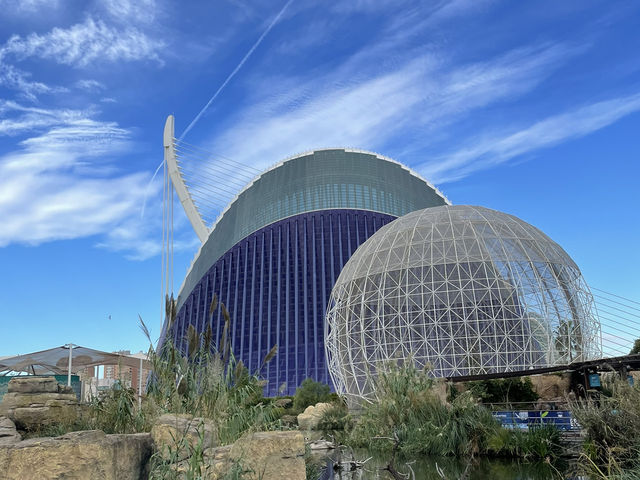 The oceanographic of Valencia