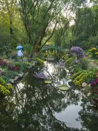 🌸 Gardens by the Bay Dreamscape