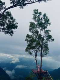 🌴✨ Bali — the island where culture, flavor, and tropical be