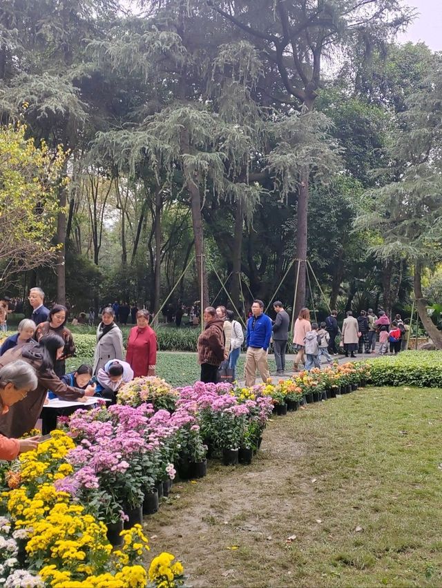 Чэнду: Город, где история дышит в каждом уголке Чэнду: Город, где история дышит в каждом уголке