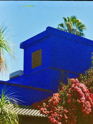 This Garden Taught Me Color.