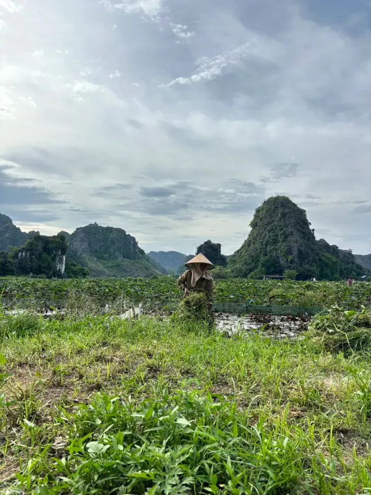 🇻🇳 하노이 기찻길 완벽 가이드: 꼭 알아야 할 모든 것