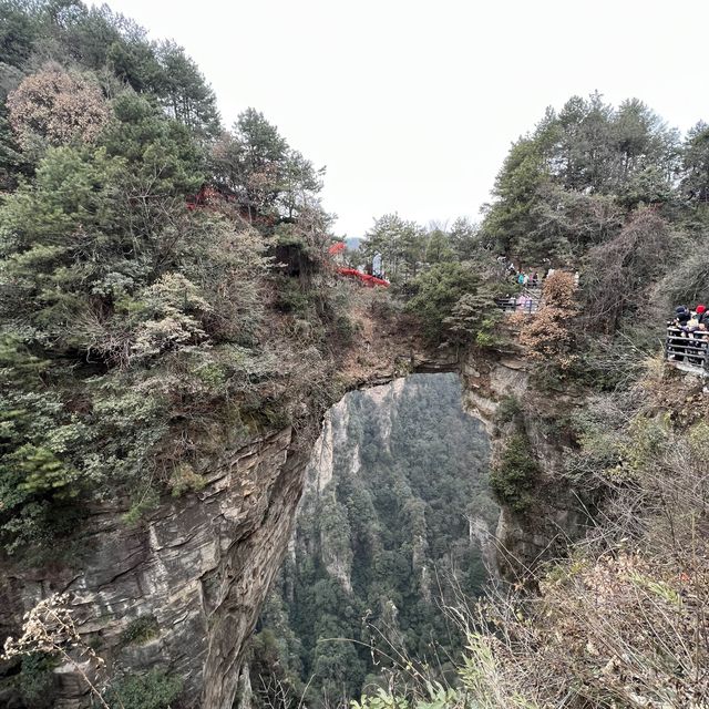 Zhangjiajie National Forest Park. 