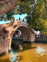 Dive into Culture at Xitang Water Town