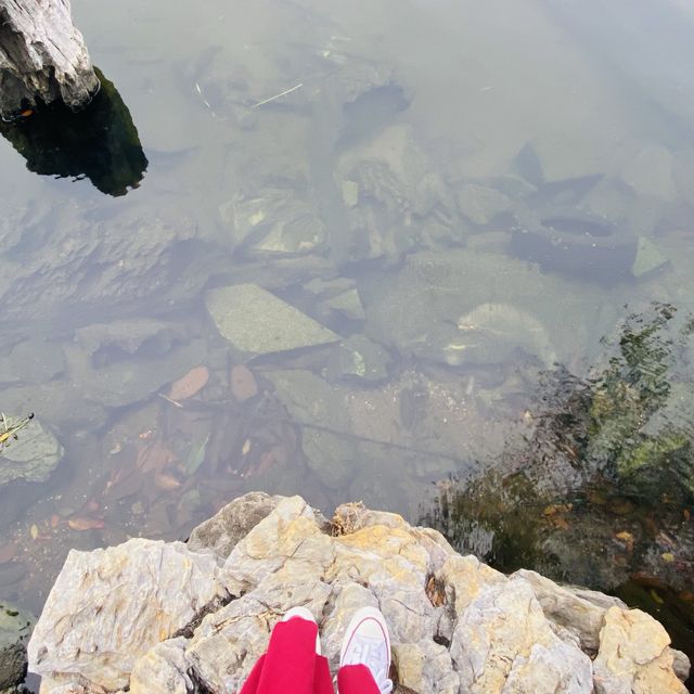 Lately my favorite place 🤩