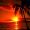 wynthoria_7992