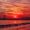 celestria_0114
