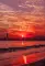 celestria_0114