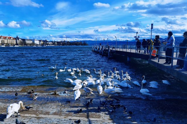 Revisit the fairy tale world of Zurich, Switzerland 🇨🇭