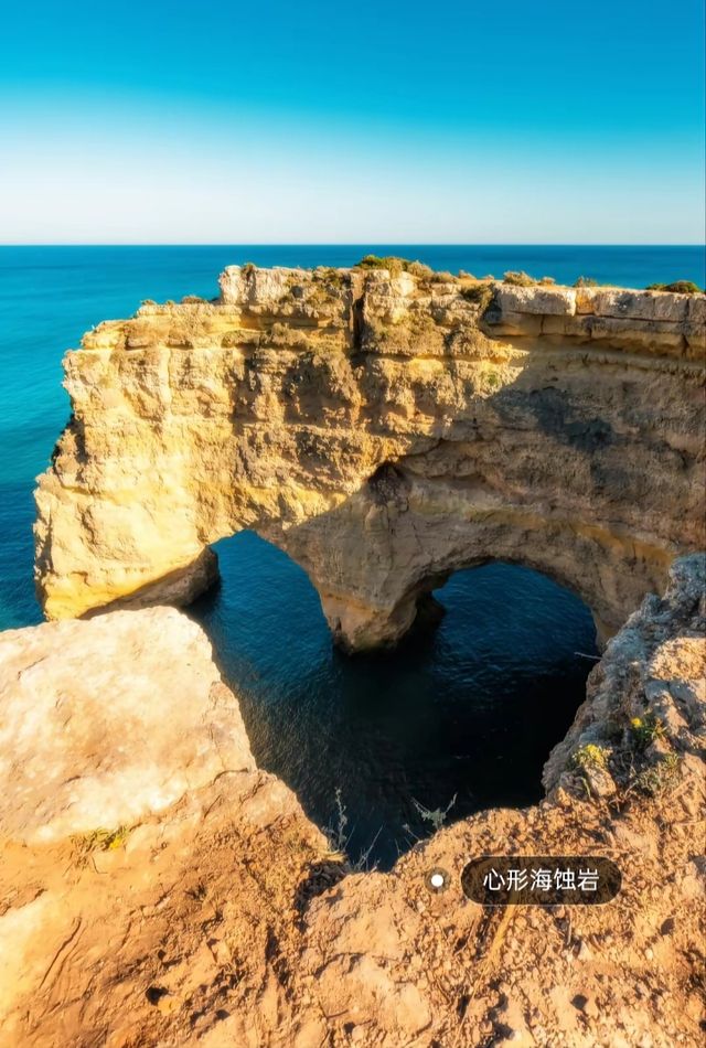 "Cape Cod is also known as Codfish Point"??!