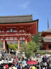 Japan 🇯🇵 Kyoto Kiyomizu-dera Temple Check-in Guide ⛩️