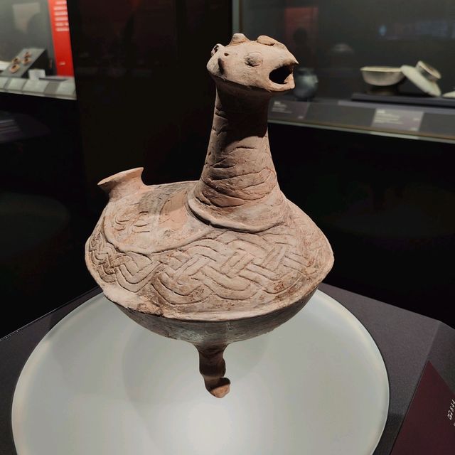 Explore the Amazing Shanghai Museum 🖼️