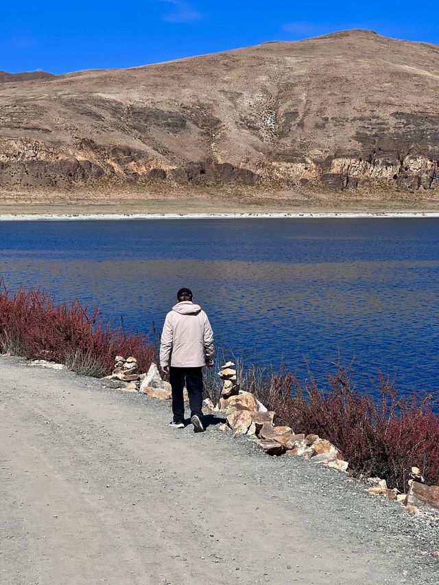 聽說西藏可以治癒一切🫧||海拔5000m 羊卓雍措比海還藍