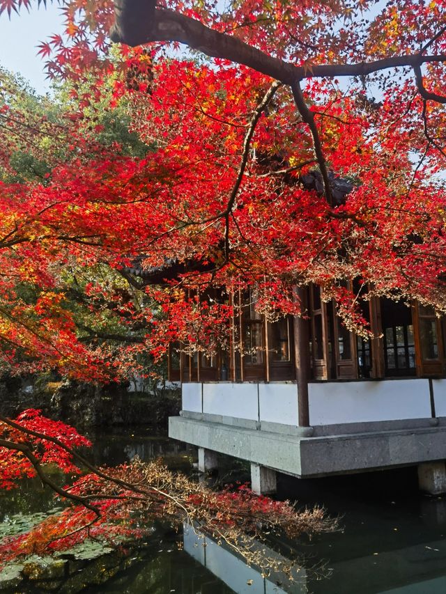 郭莊秋色，畫中有畫，景中帶景，杭州紅葉季攻略