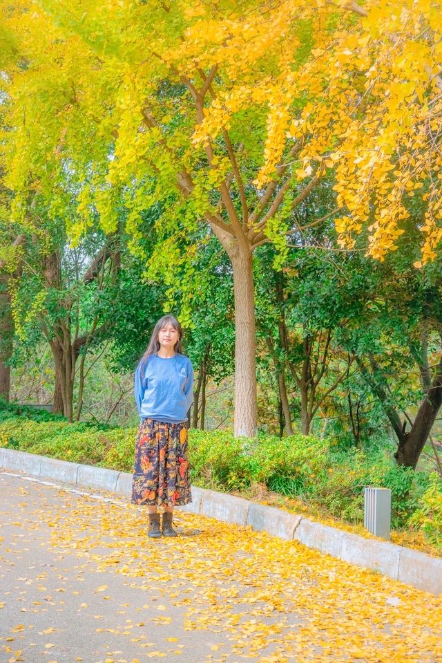 住進來，在尋常巷陌中尋覓生活的藝術之美
