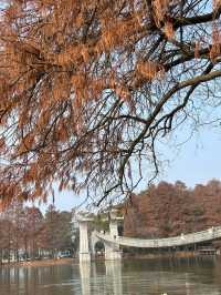 湖北東湖三天旅遊攻略及美食推薦