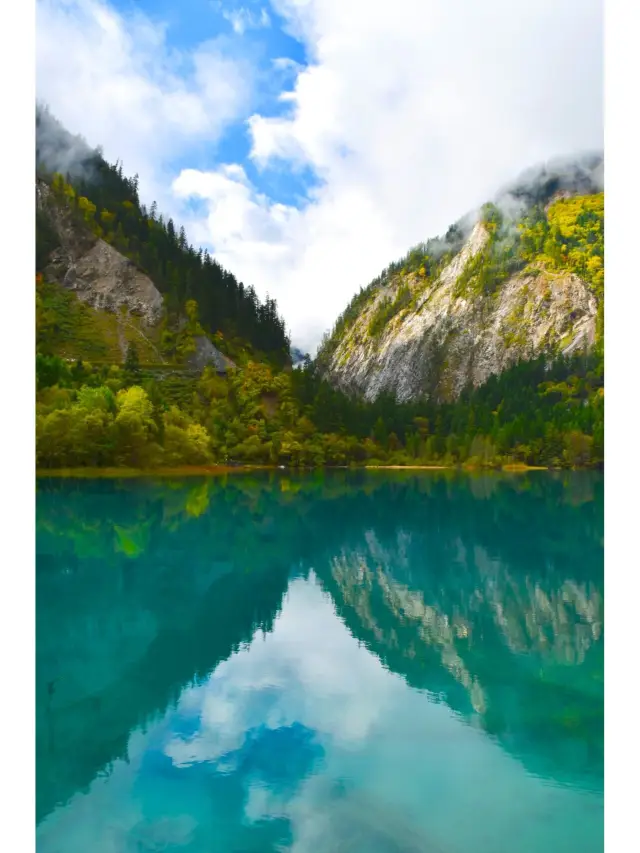 Jiuzhaigou Five Flower Lake: A fairyland hidden in the deep mountains