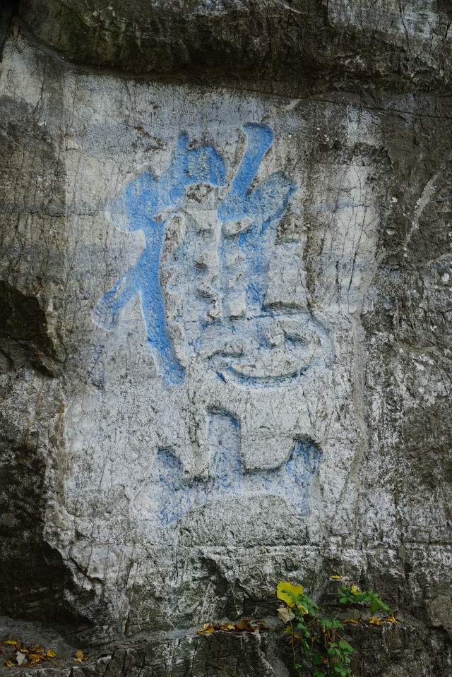 焦山，因其碧波環抱，滿山蒼翠，宛然碧玉浮江，