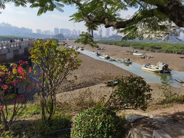 Visit Quanzhou "Luoyang Bridge"