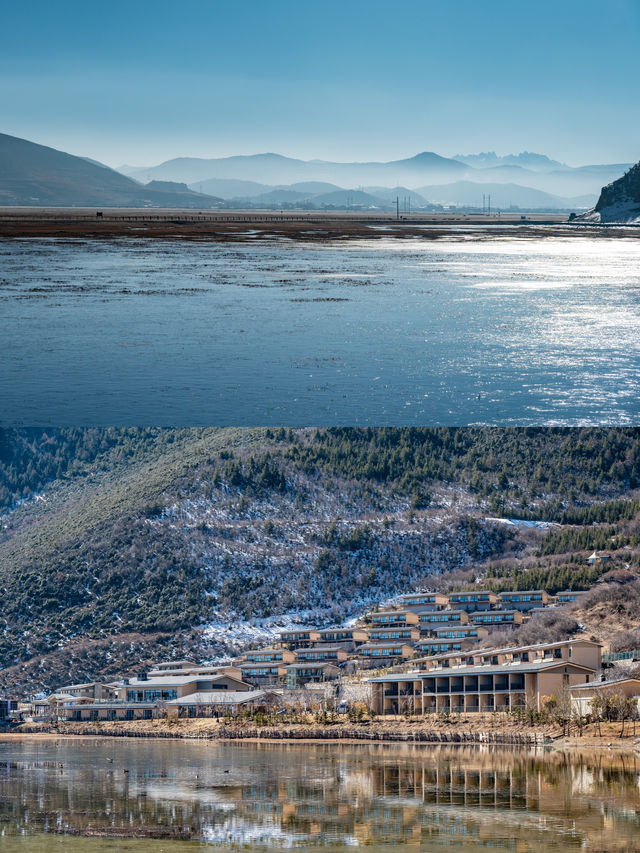 《國家地理》沒騙我，在香格里拉拍到鳥啦