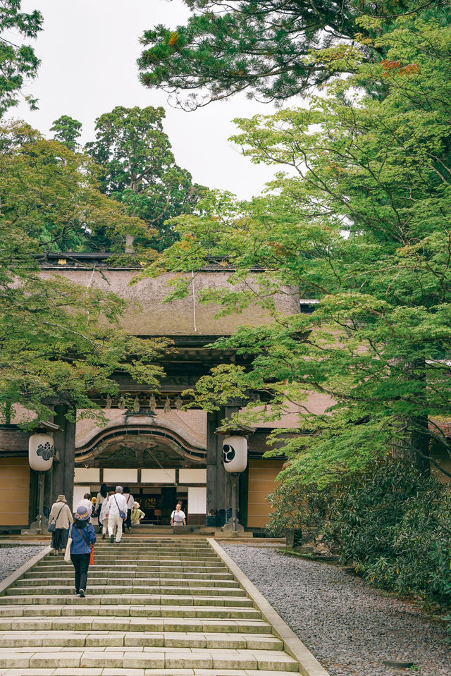 日本高野山｜空海大師講課的地方，日本最大枯山水庭院