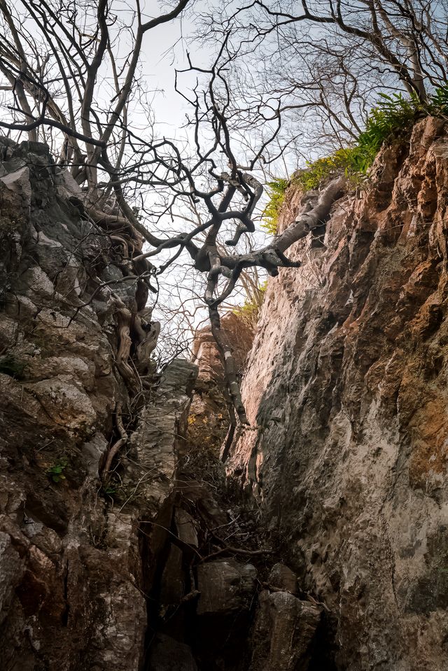 去過安慶數次，卻未曾發現在長江中還有一座獨立的山峰