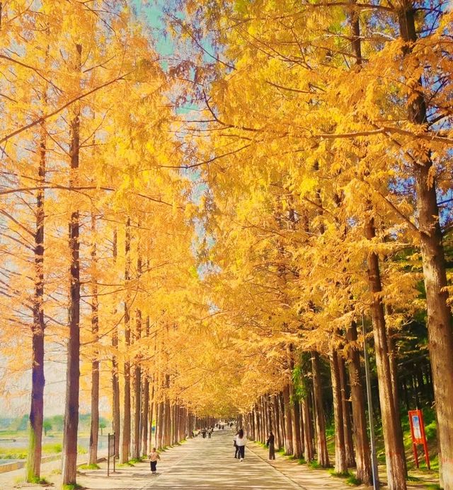 低碳自然銅山湖半日遊