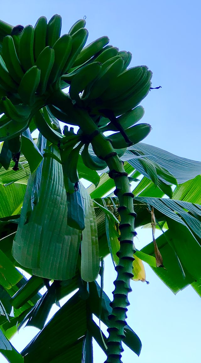 寧德，佛國仙都百里畫廊