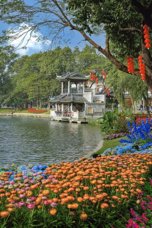 Spring has come early in Guangzhou, and the city is full of flowers for you