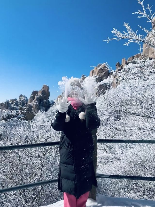 巨峰霧凇