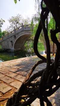 “滬東小西湖”——楊浦公園