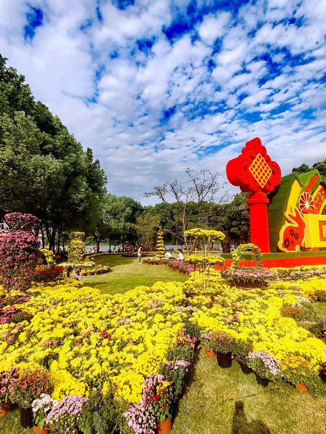 義烏植物園，菊韻醉金秋