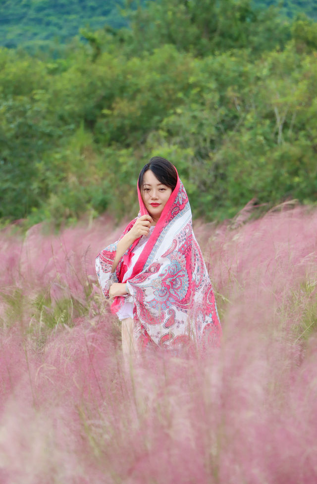粉色深圳 | 7000m粉黛花海，浪漫秋日童話