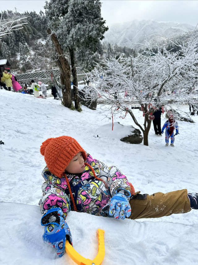 無需遠赴南方小土豆勇闖南國雪鄉攻略