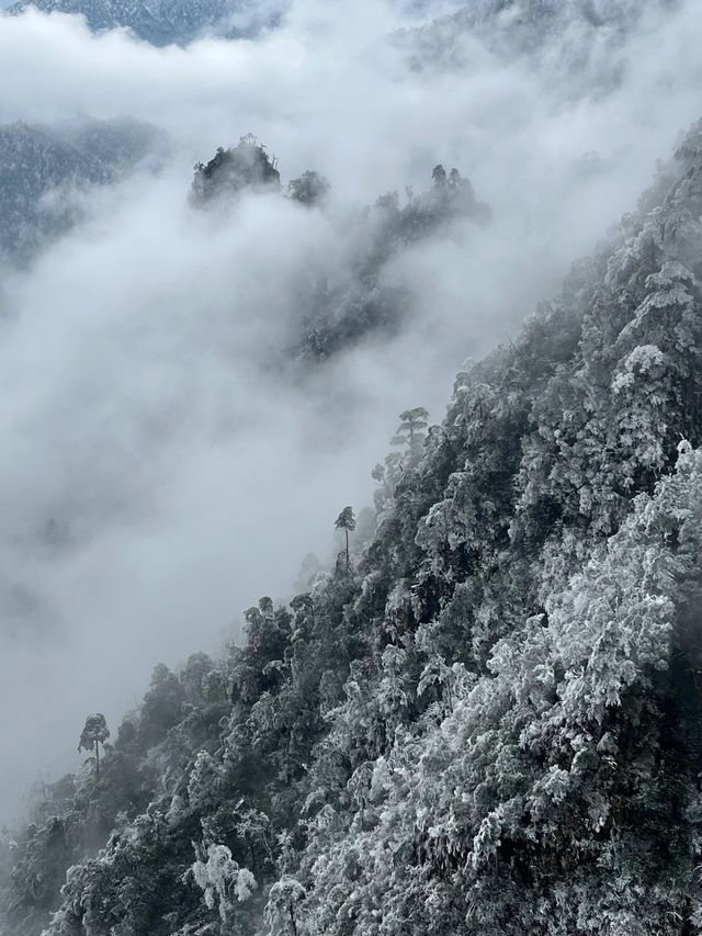 廣東又降溫了！這不得抓住最後的機會去看雪！