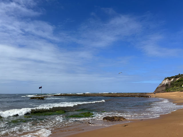 悉尼Collaroy海灘半日遊