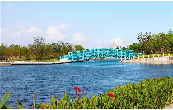 魔都的一個超級大公園完全免費可以逛一整天