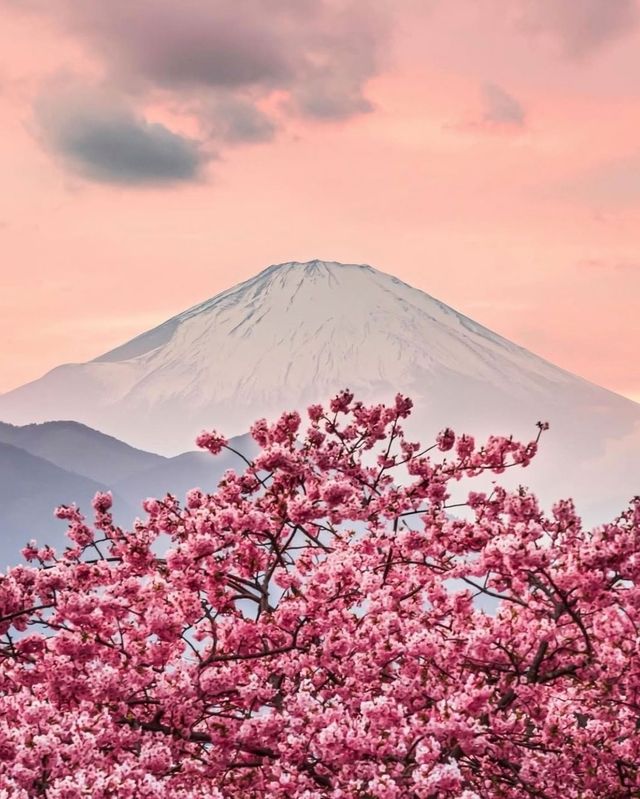 富士山：五個絕佳拍照機位攻略來襲